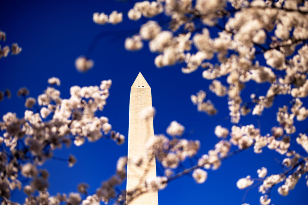 Washington spring 2025